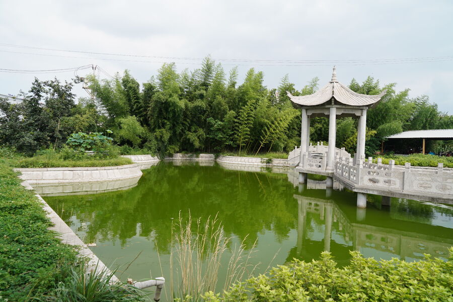 Shandong Xinghua Steel Structure Co., Ltd. ligne de production du fabricant