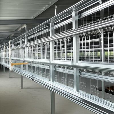 ISO1461 Steel Structure Poultry House 50 - 100mm Panel Steel Cattle Buildings