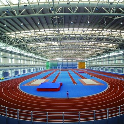 52M - 152M  Prefab Steel Structure Multi Function 0.5kN/M2 Stadium Steel Structure Design