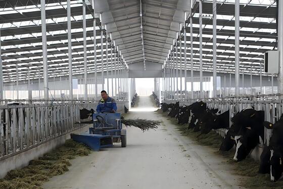 ASTM C518 ISO8301 Steel Structure Poultry House Hot Dip Galvanized Broiler Farm House