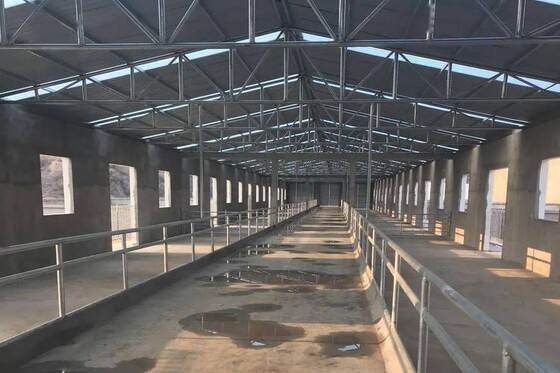 ISO1461 Steel Structure Poultry House 50 - 100mm Panel Steel Cattle Buildings